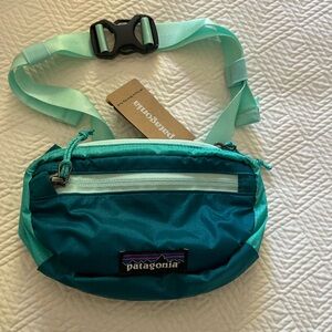 Patagonia mini hip pack NWT
